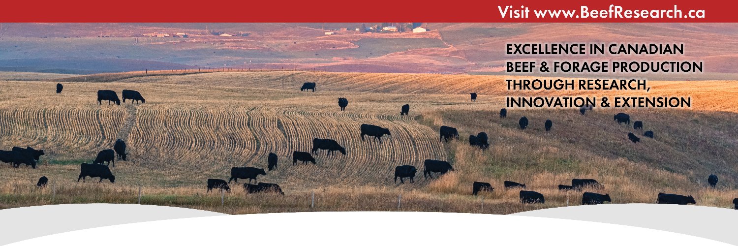 BeefResearch's profile banner image