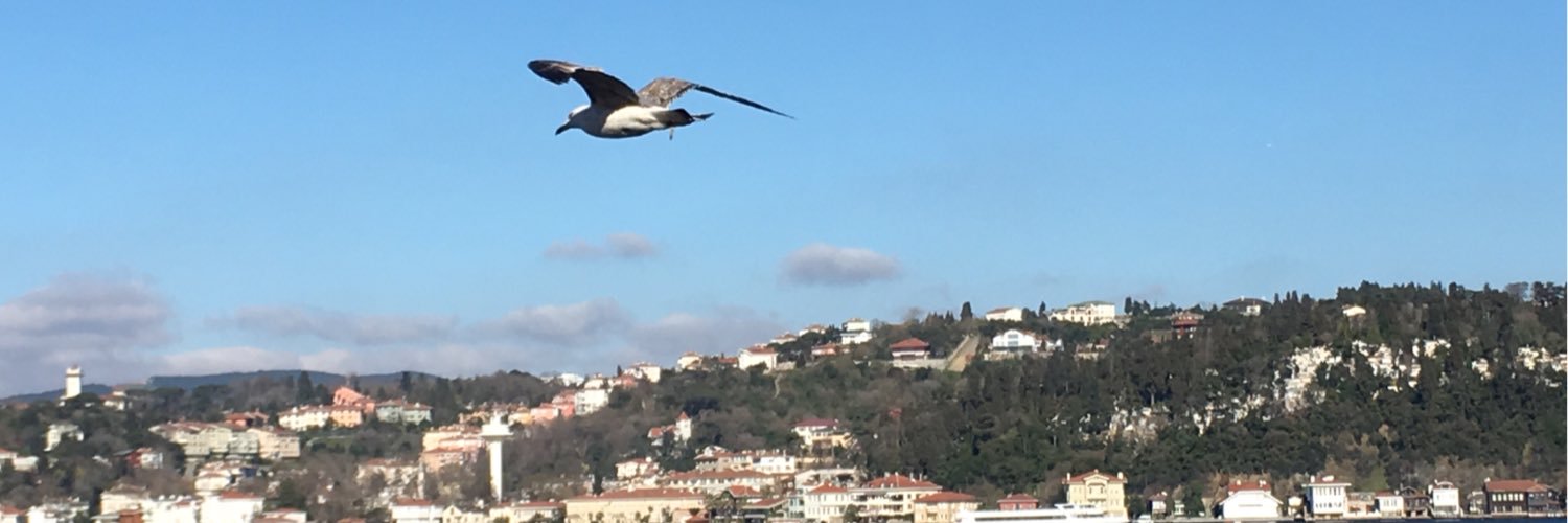 BetulZEL's profile banner image