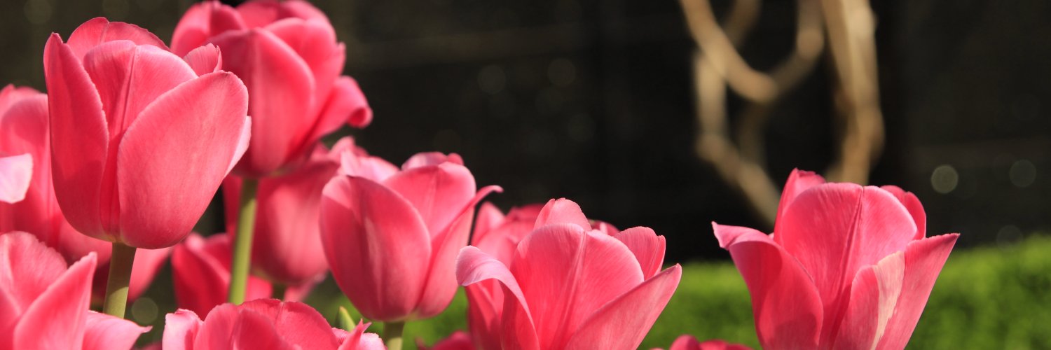 min0909's profile banner image