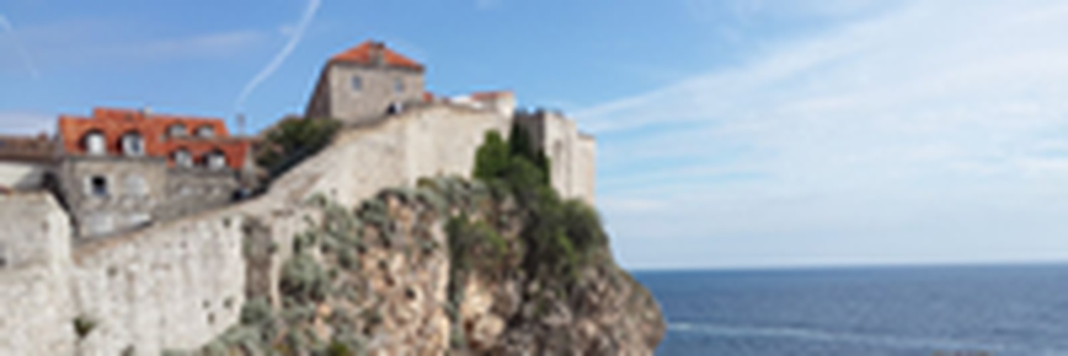 enmaxxom's profile banner image