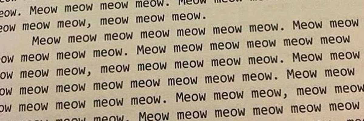 Rue ✮⋆˙ banner