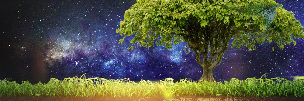 JohnMooreNinja's profile banner image