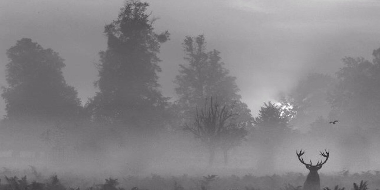 CroatiaHunting's profile banner image