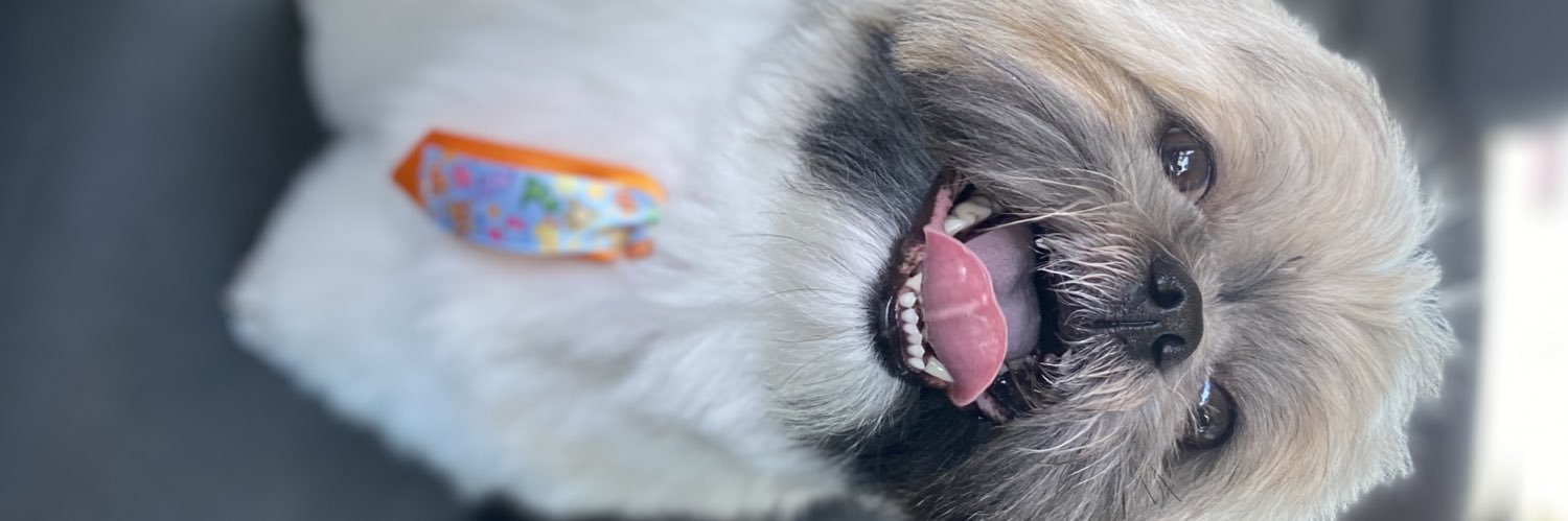 RobertoLuiizz's profile banner image