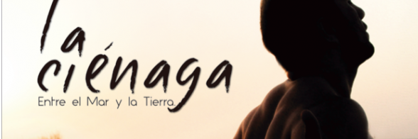 VickyHActriz's profile banner image
