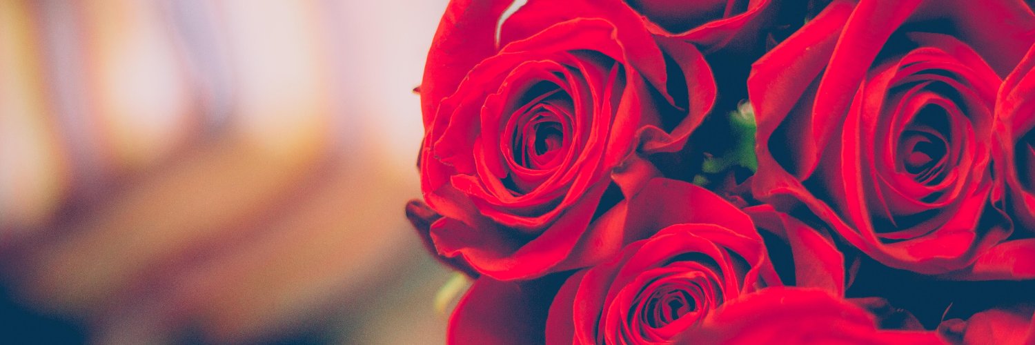 RoseMoneyyy1738's profile banner image