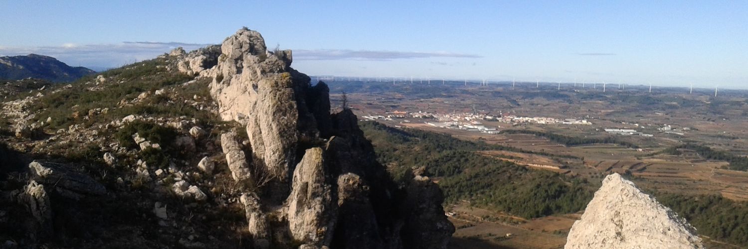 roberttarrago's profile banner image