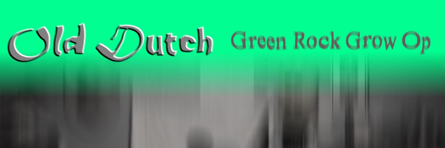 OldDutchMusic's profile banner image