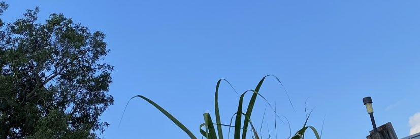 carson15_boy's profile banner image