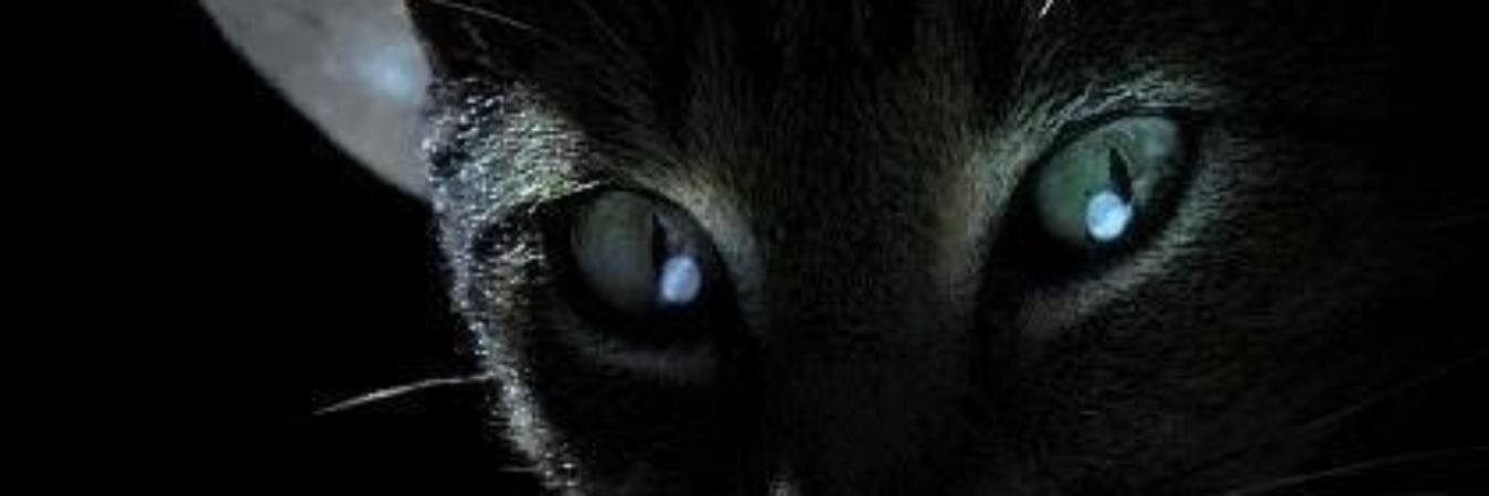 Анна banner