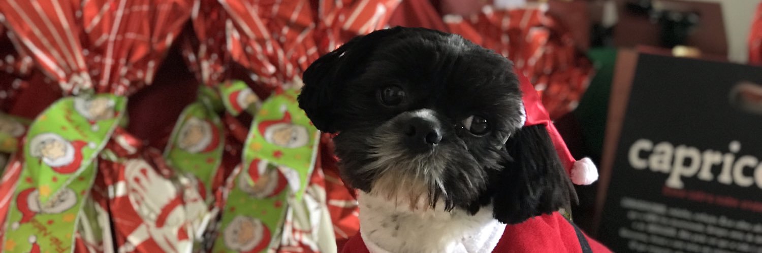 LuhQisso's profile banner image