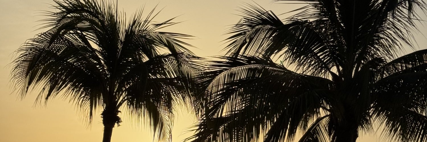 chantalsheilyn's profile banner image