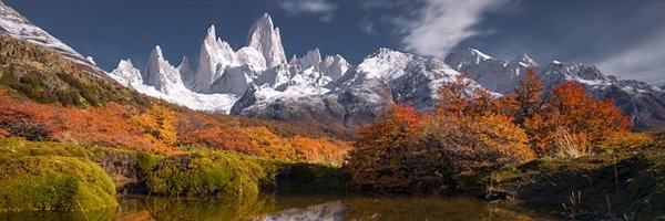 joe_stekel's profile banner image