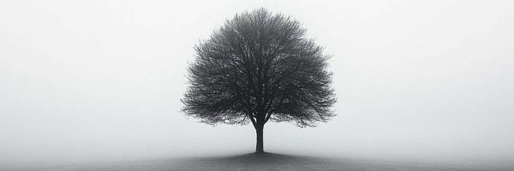 brianchilaz's profile banner image