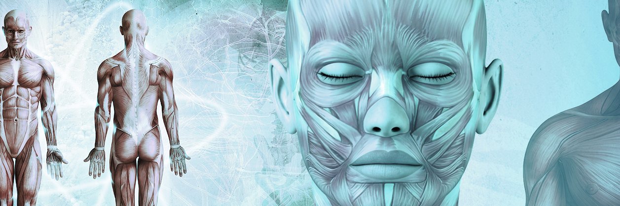 InfoBiometric's profile banner image