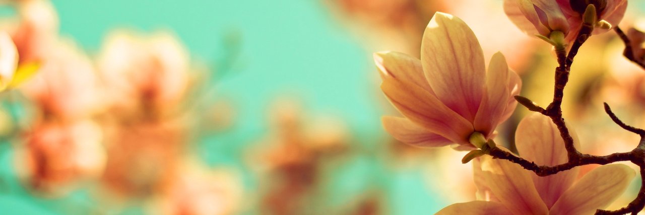 Single_Eye's profile banner image