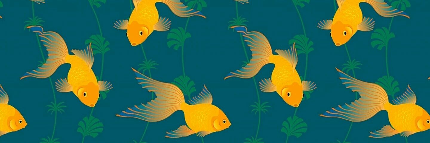 lss5201314's profile banner image