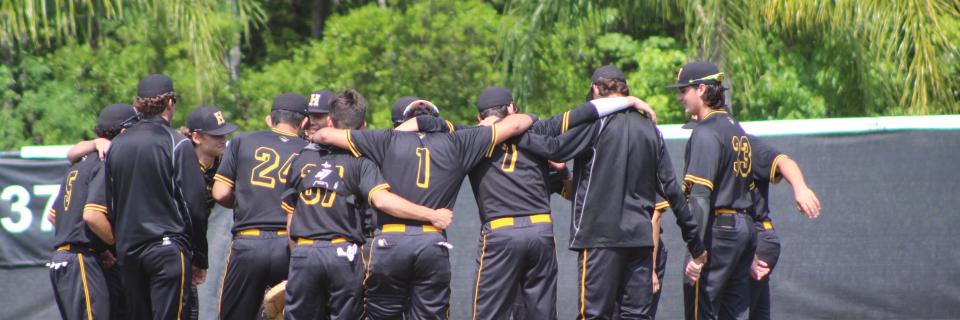 HeritageBaseball banner