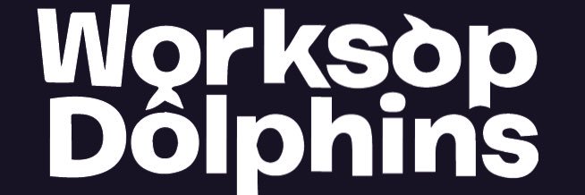 Worksop Dolphins banner