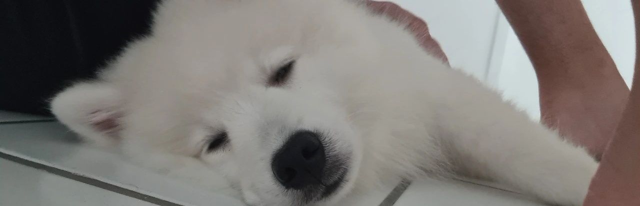 jontamths's profile banner image
