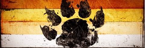 danichapin's profile banner image