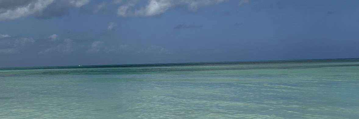 MaaiPaez's profile banner image