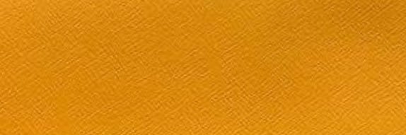 bibischmidt's profile banner image