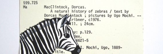 Zebraclassroom's profile banner image