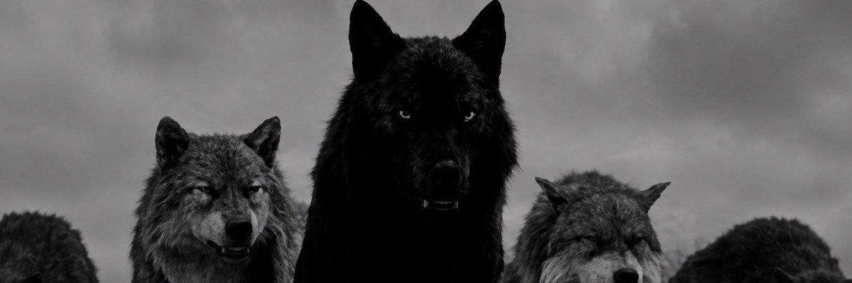 i___QH's profile banner image