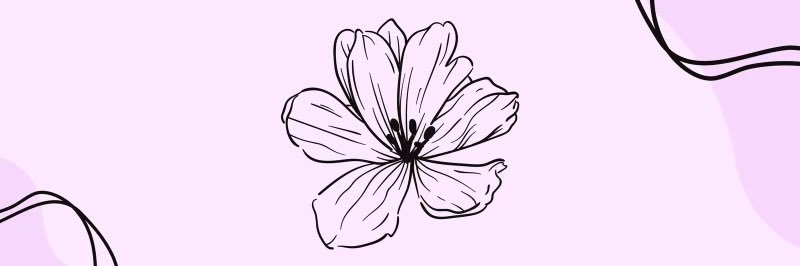 bpere16's profile banner image