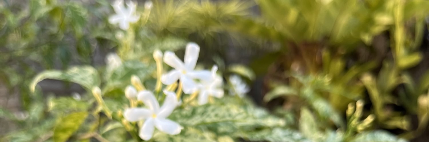 queendindin's profile banner image