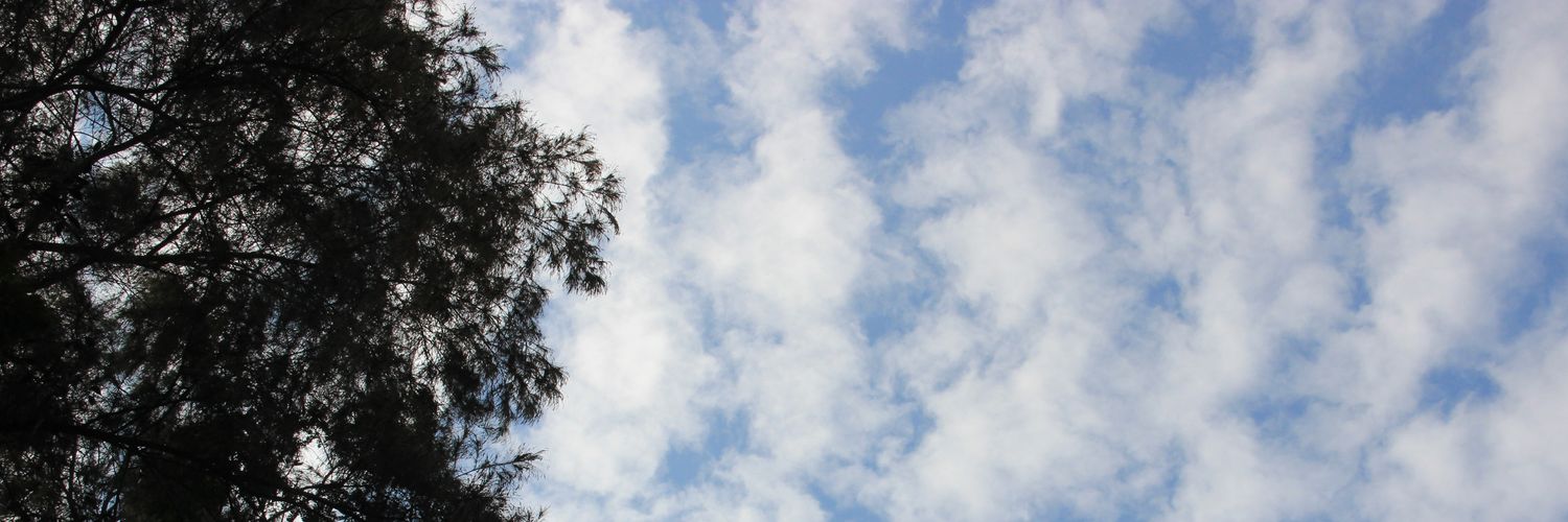 greenyohgi's profile banner image
