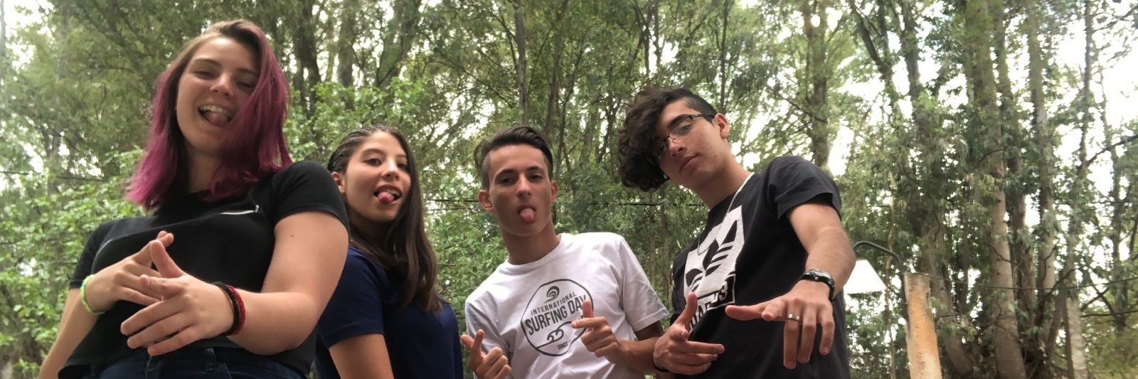juli_pignataro's profile banner image