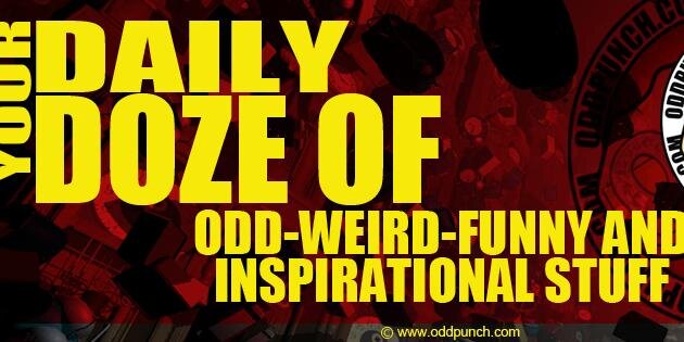 OddPunch's profile banner image