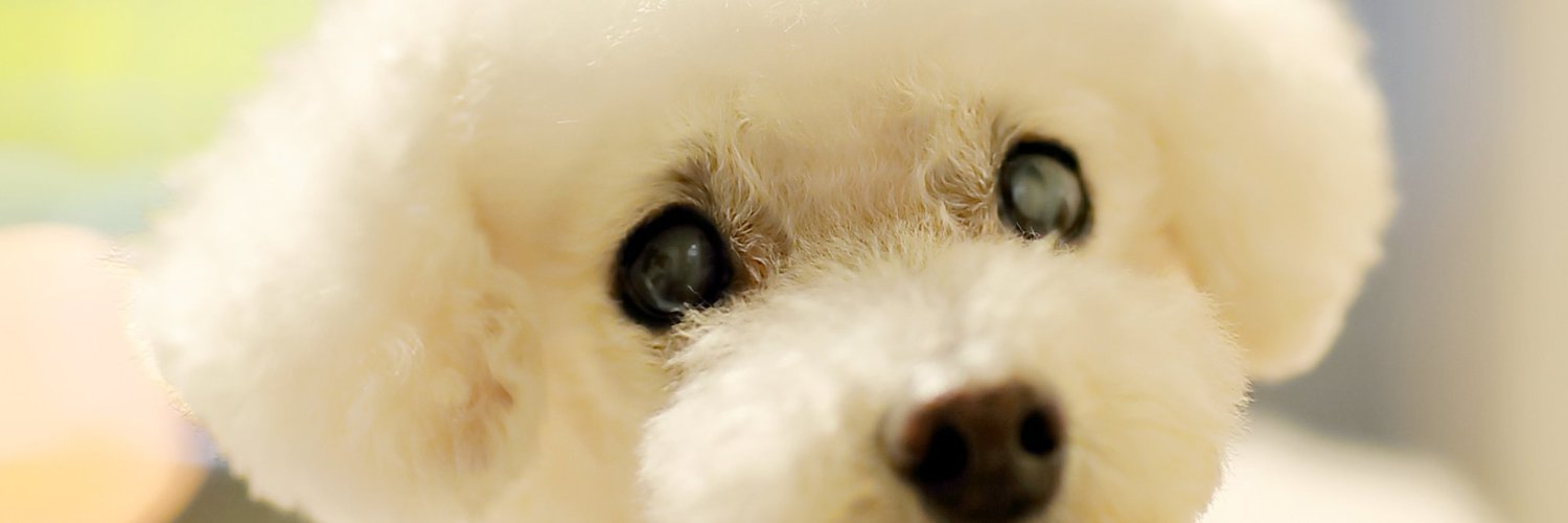 あしたもジョー banner