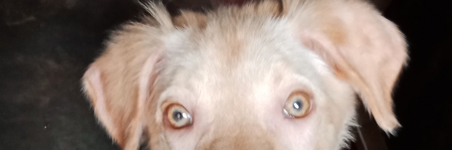 lyndie220's profile banner image