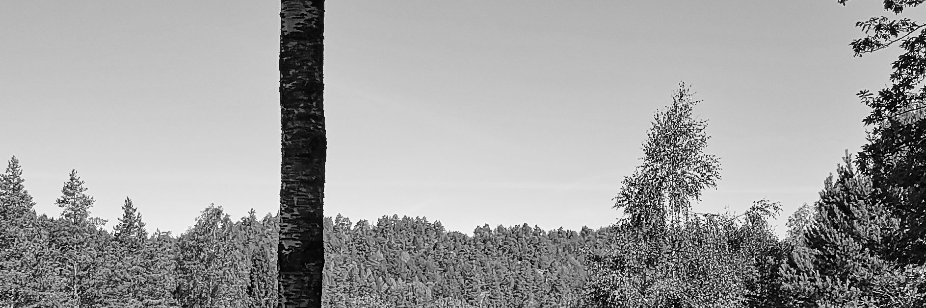 thomasanderse12's profile banner image