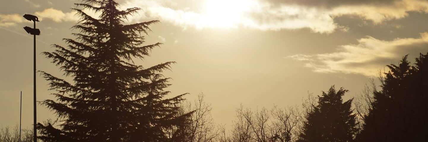 Alejandro Santamaria banner