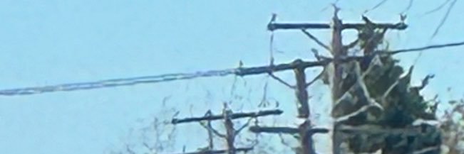 FizypF's profile banner image