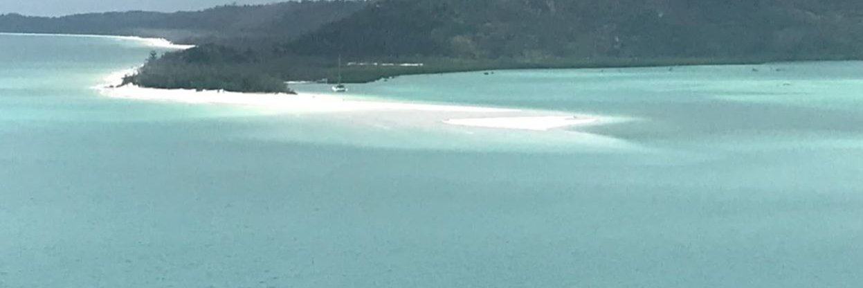 Roger Marin Affonso banner