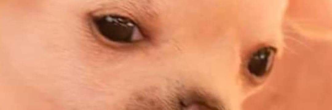 FelixOtilio's profile banner image