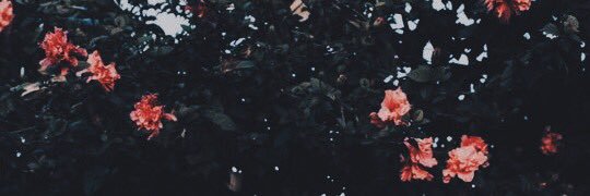 Itsyoandricabre's profile banner image