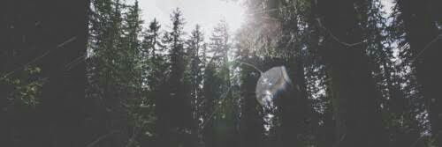 NessmaAli9's profile banner image