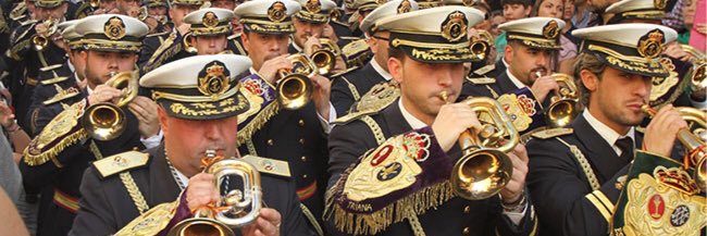 chicotacofrade's profile banner image