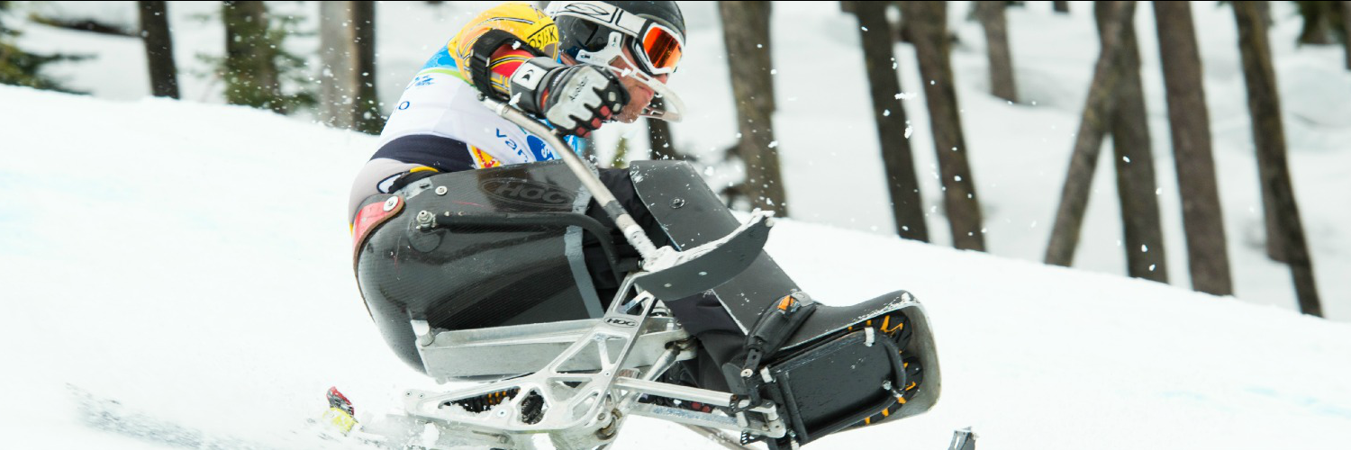 Whistler Adaptive banner