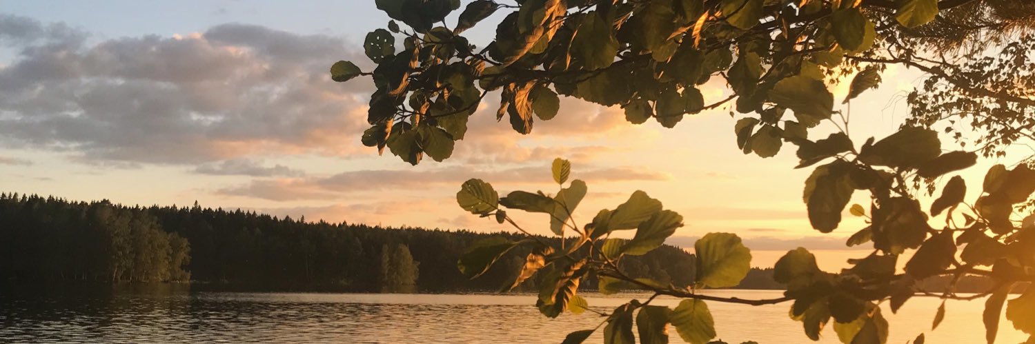 henkkaremes's profile banner image