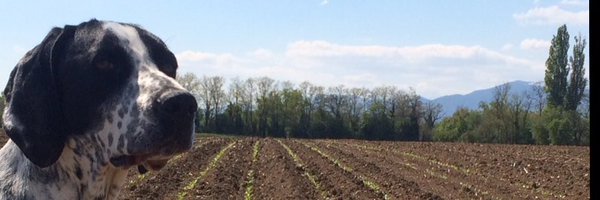 Patoon68 Profile Banner