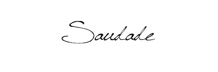 Fierda Amalia S banner