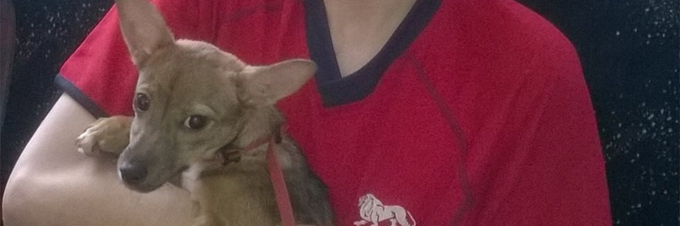 Dawid_Jasper's profile banner image