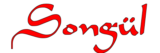 SongulKarlu's profile banner image